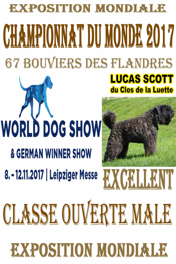 LUCAS 5 exc MONDIALE 2017